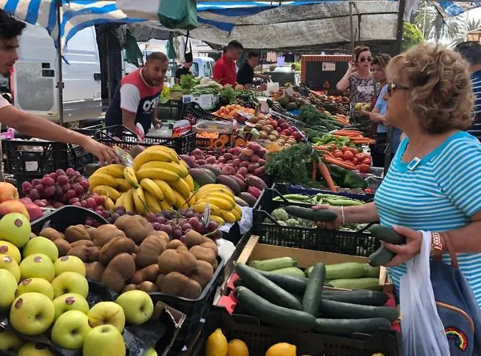 Aunt Antonia House Διαμέρισμα